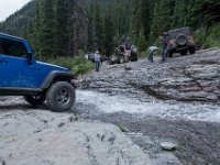 BlackBear-7899 : Ouray