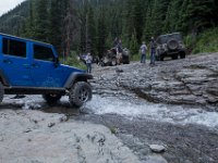 BlackBear-7900 : Ouray