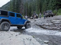 BlackBear-7901 : Ouray