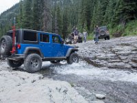 BlackBear-7903 : Ouray