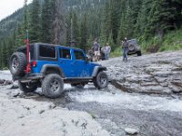 BlackBear-7904 : Ouray