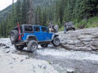 BlackBear-7905 : Ouray