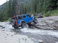 BlackBear-7907 : Ouray