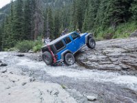 BlackBear-7908 : Ouray