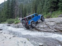 BlackBear-7909 : Ouray