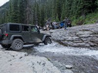 BlackBear-7912 : Ouray