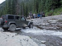 BlackBear-7913 : Ouray