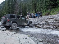 BlackBear-7914 : Ouray