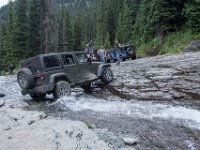 BlackBear-7917 : Ouray