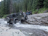 BlackBear-7918 : Ouray