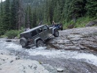 BlackBear-7920 : Ouray