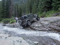 BlackBear-7923 : Ouray