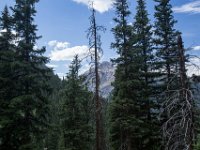 BlackBear-7935 : Ouray