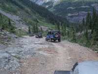 BlackBear-7943 : Ouray