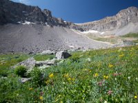 Yankee-Gov-Syd-8116 : Ouray