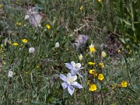 Yankee-Gov-Syd-8126 : Ouray