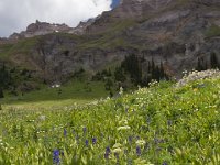 Yankee-Gov-Syd-8148 : Ouray