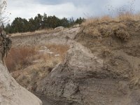 RAM-Apr-6363 : Jeep, RAM