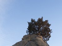 RAM-4365 : Jeep, RAM