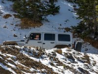 Carey-8659 : 1, Jeep