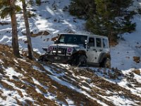 Carey-8664 : 1, Jeep