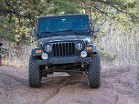Carey-8728 : Jeep