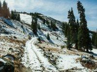 SwanWall-5527 : Jeep