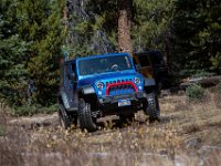 SwanWall-8932 : Carey, Jeep