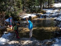 SwanWall-8942 : Family, Jeep, Justin, Kiefer