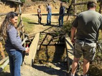 SRBridgeJoe01 : Jeep, Swan River