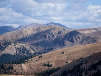 SwanRiver-5314 : Jeep, Swan Lake