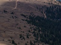 SwanRiver-5320 : Jeep, Swan Lake