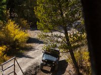 SwanRiver-5351 : Jeep, Swan Lake