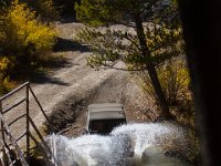 SwanRiver-5360 : Jeep, Swan Lake