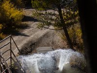 SwanRiver-5361 : Jeep, Swan Lake