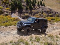 SwanRiver-8701 : Jeep, Swan Lake