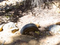 SwanRiver-8718 : Jeep, Swan Lake