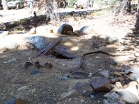 SwanRiver-8720 : Jeep, Swan Lake