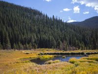 SwanRiver-8726 : Jeep, Swan Lake