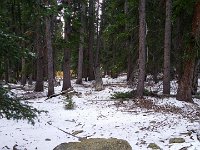 TwinCone-151111 : Fall Color, Jeep, Phone