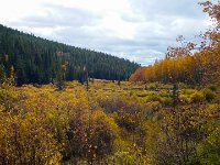 TwinCone-153957 : Fall Color, Jeep, Phone