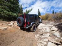 TwinCone-8800 : Fall Color, Jeep
