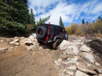 TwinCone-8803 : Fall Color, Jeep