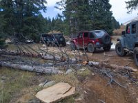 TwinCone-8814 : Fall Color, Jeep