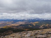 TwinCone-8822 : Fall Color, Jeep