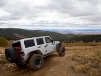 TwinCone-8833 : Fall Color, Jeep