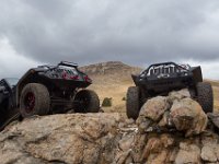 TwinCone-8857 : Fall Color, Jeep