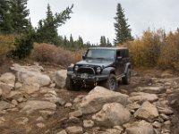 TwinCone-8864 : Fall Color, Jeep