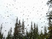 HOPL1TE-103535 : Jeep, Wheeler Lake