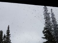 HOPL1TE-104245 : Jeep, Wheeler Lake